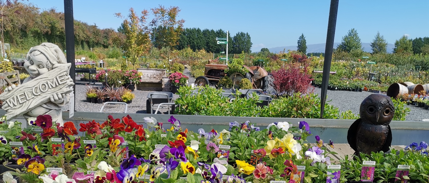 Huge Selection of Plants In Store